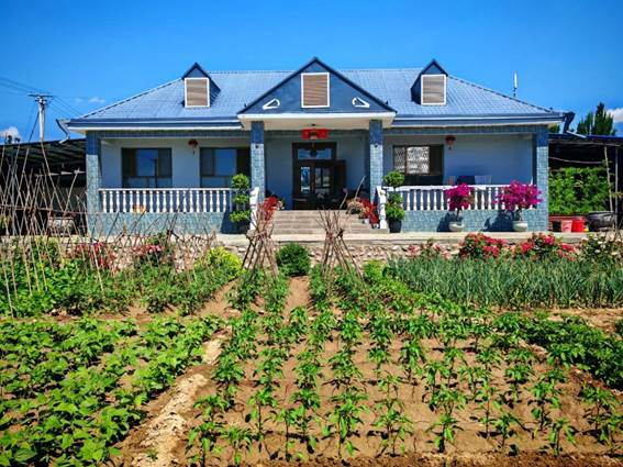 c0a33b087982b8a74f20e7fa793364db