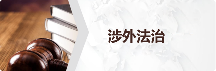 涉外政治